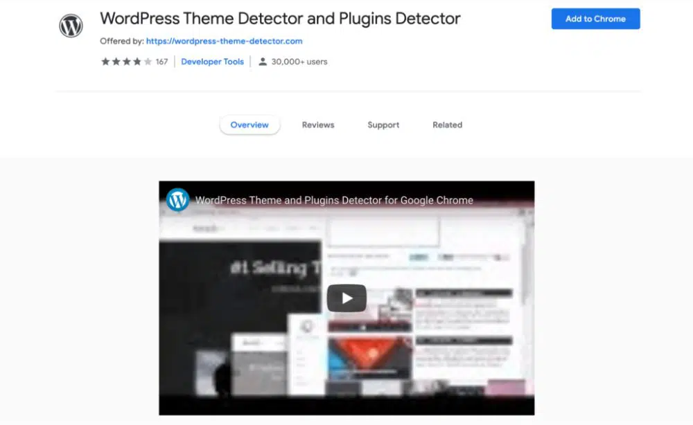 WordPress Themes and Plugins Detector
