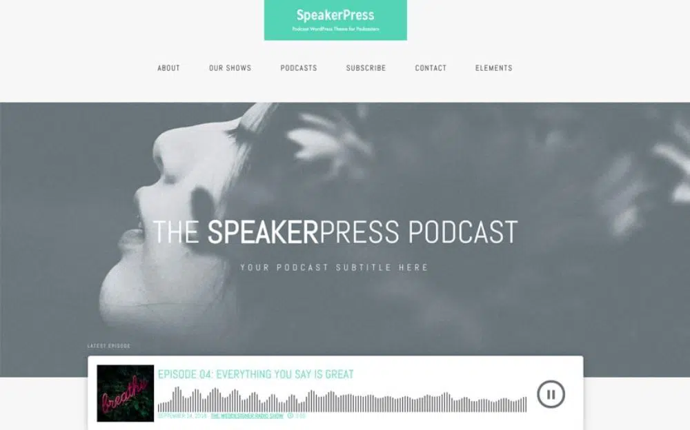 WordPress Themes For Podcasts: Speaker Press