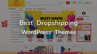 WordPress Theme for Dropshipping