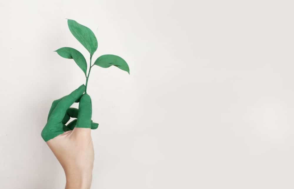 Product Design Trends of 2021: Eco Friendly