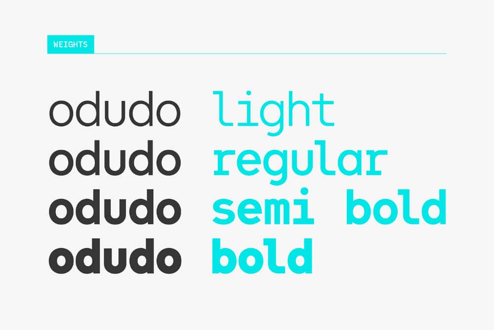 Newest Monospace Fonts that all designers must have: Odudo