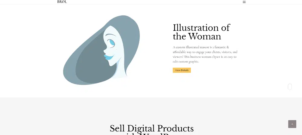 WordPress themes for selling digital products: Brol