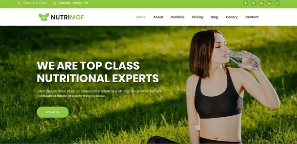 Impressive WordPress Themes for Fitness Clubs: Nutrimof
