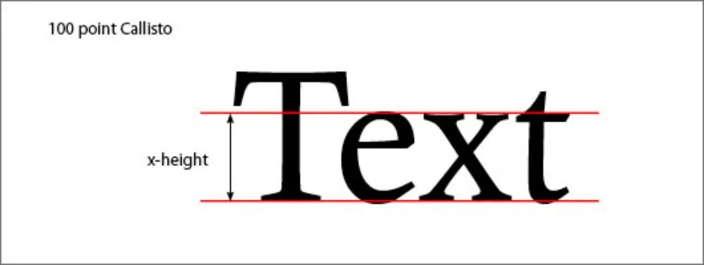 Typography Terms All Designers Must Understand: X Height