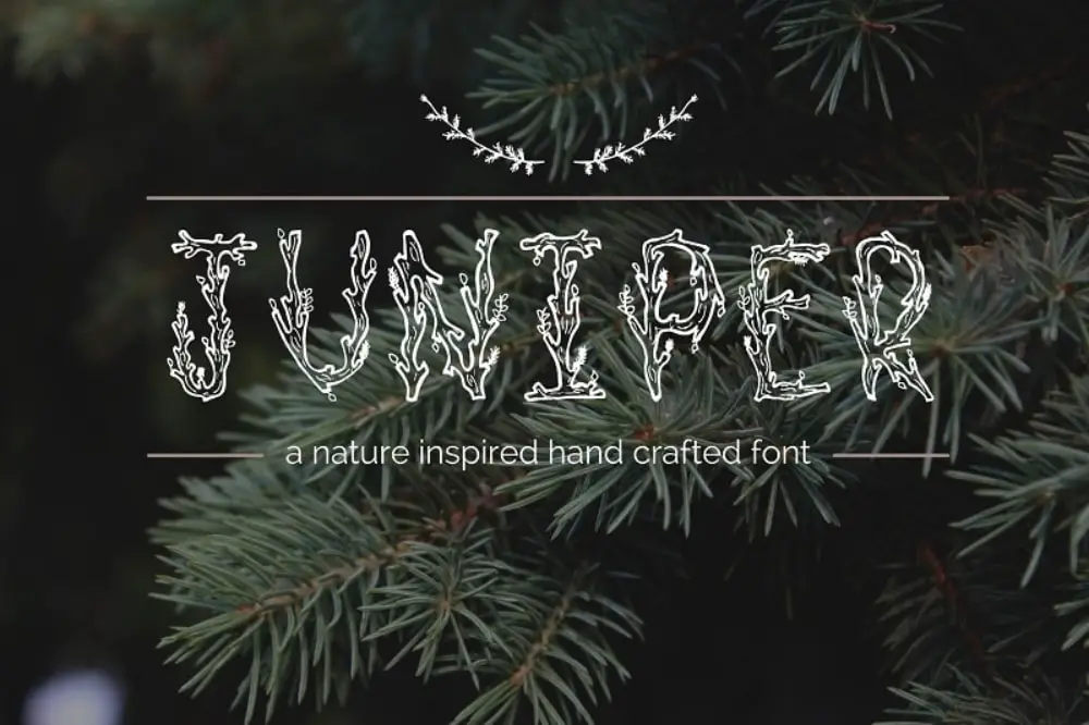 18 Creative Fonts Inspired by Nature: Juniper Font