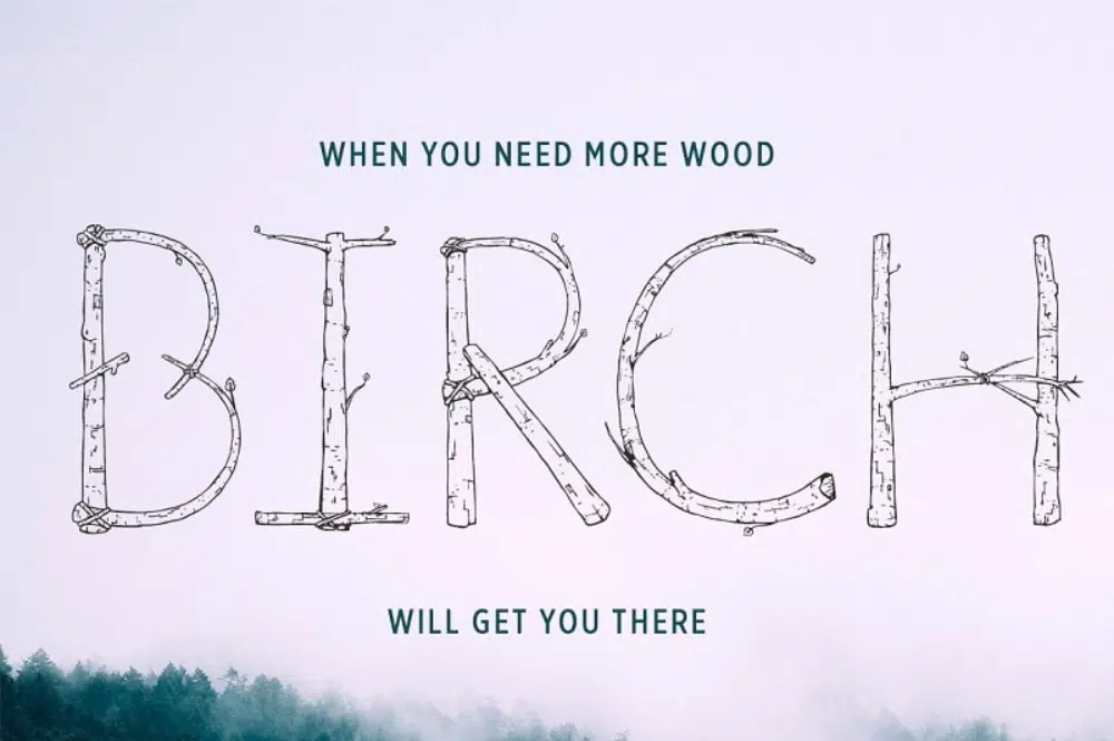 18 Creative Fonts Inspired by Nature: Birch Is Right Here Outline