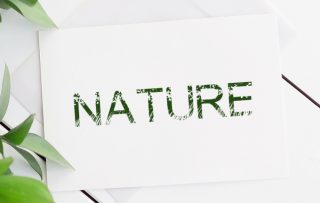 18 Creative Fonts Inspired by Nature