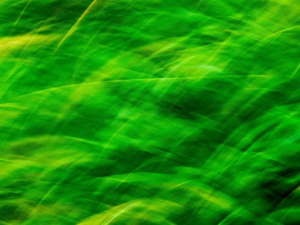 Free & Highly Useful Fabric Textures for Designers: Green Abstract