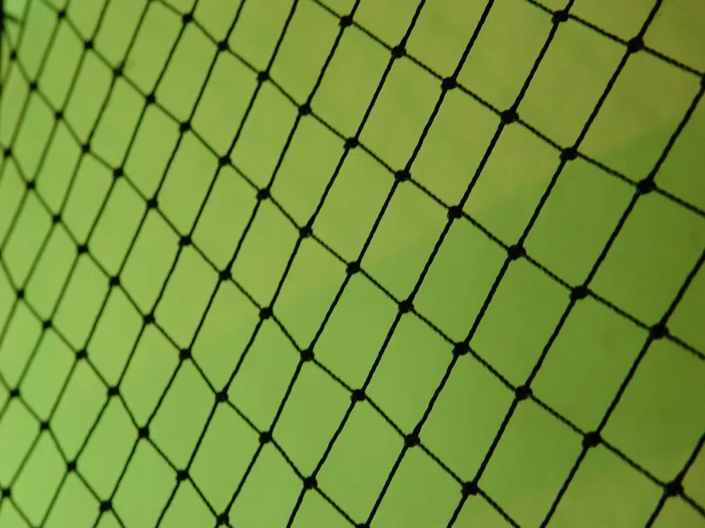 Amazing Free Monochromatic Images for Backgrounds: Fence in Green Background