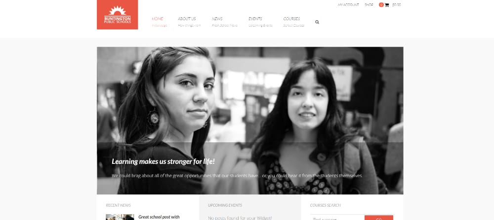 Awesome WordPress Themes for Colleges & Universities: Buttington