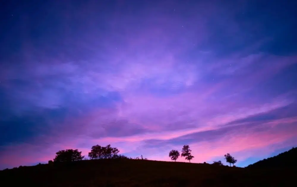 Free Amazing Sky Backgrounds for Designers: Tree Silhouettes under the Sunset