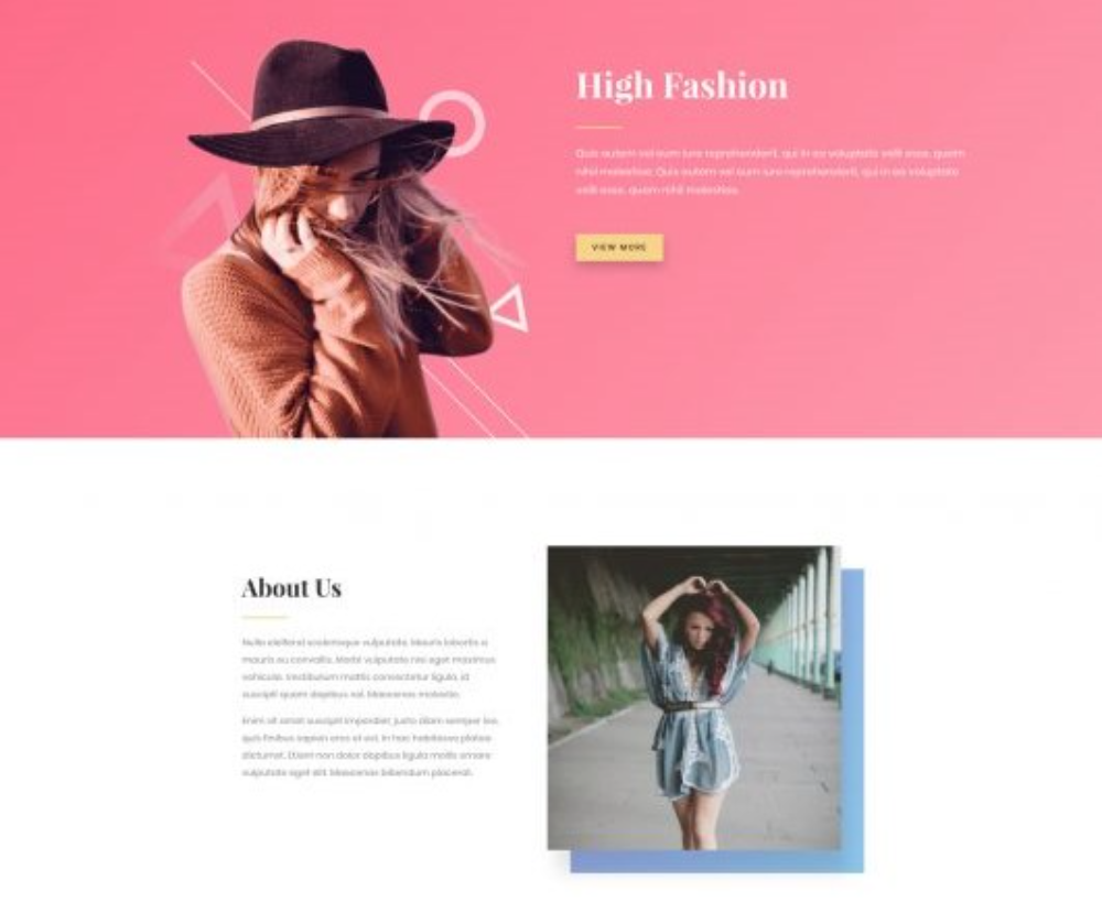 Apparel Brands WordPress Themes: Divi - Fashion Theme