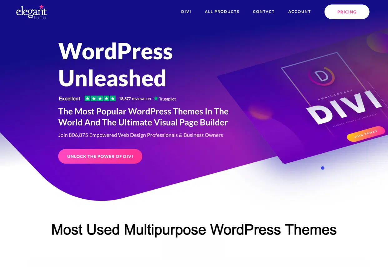 DIVI The Most Popular WordPress Themes In The World 1000