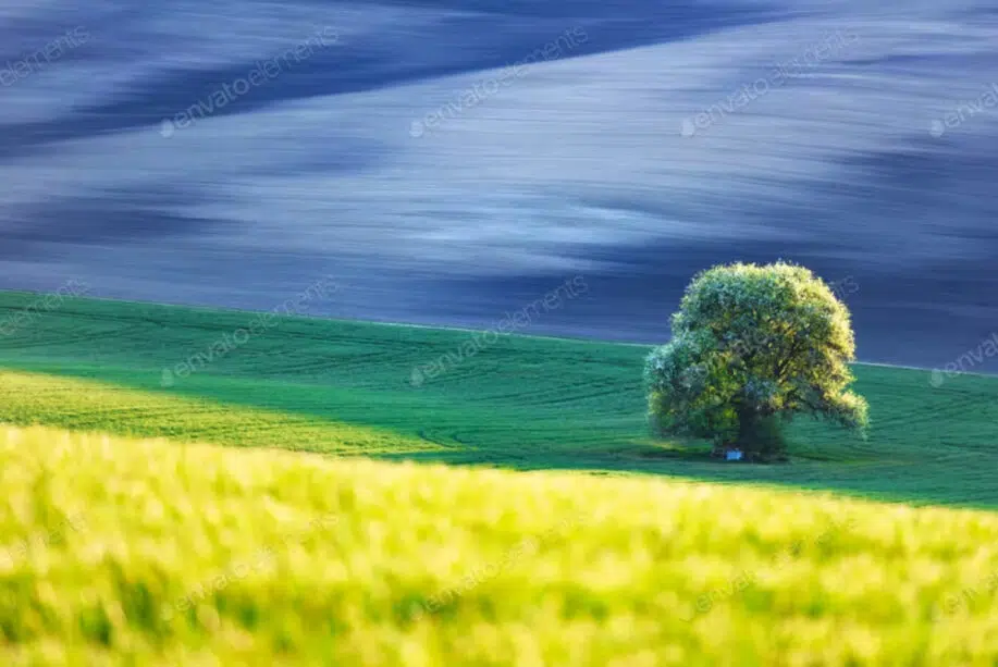 The first of 40 best tree images: Abstract rural landscape with tree