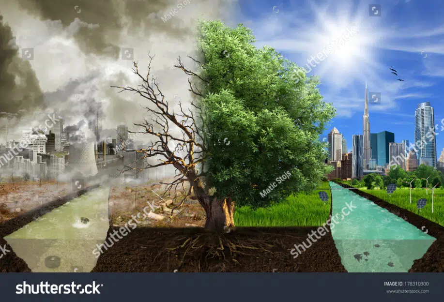 Best Tree Images: The Impact of trees by environment