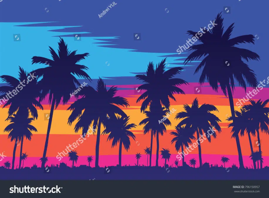 Palm Trees in Colorful Background