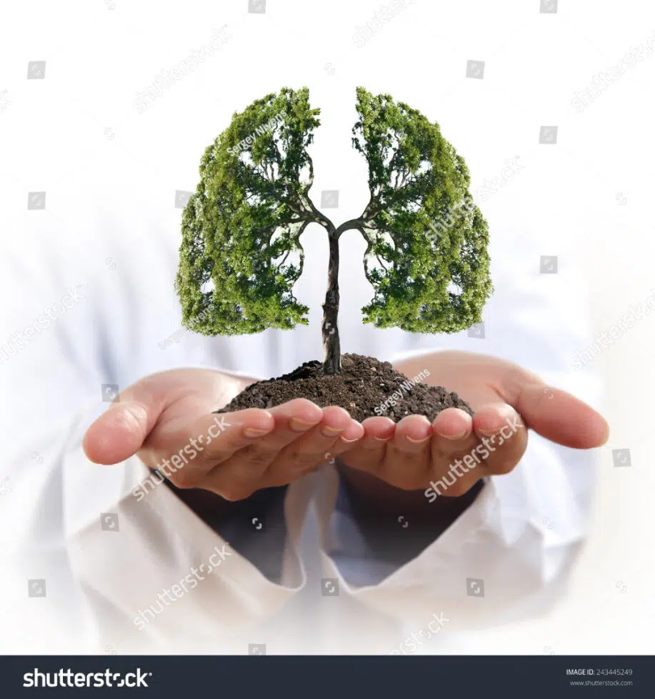 Tree shaped lungs