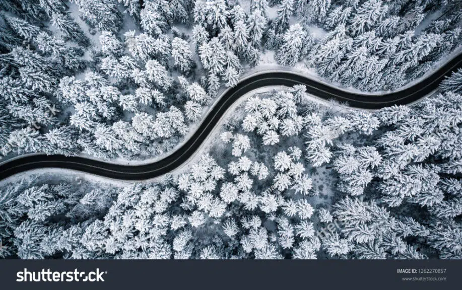 Curvy Road with snow and trees