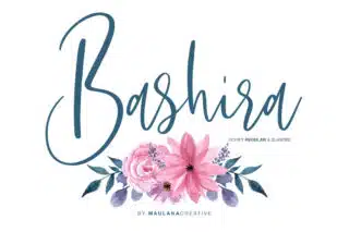 Bashira Brush Script