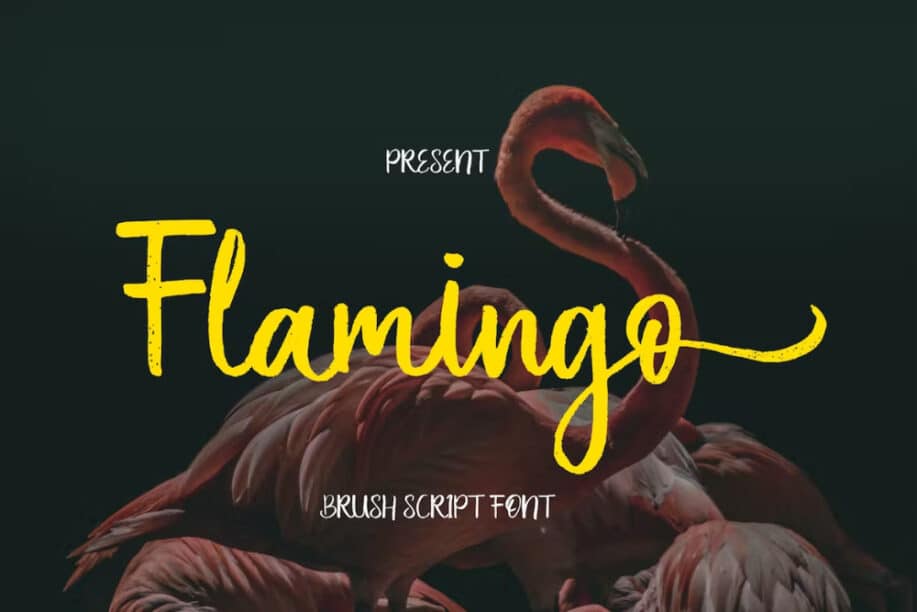 Flamingo - A Brush Style Script Font